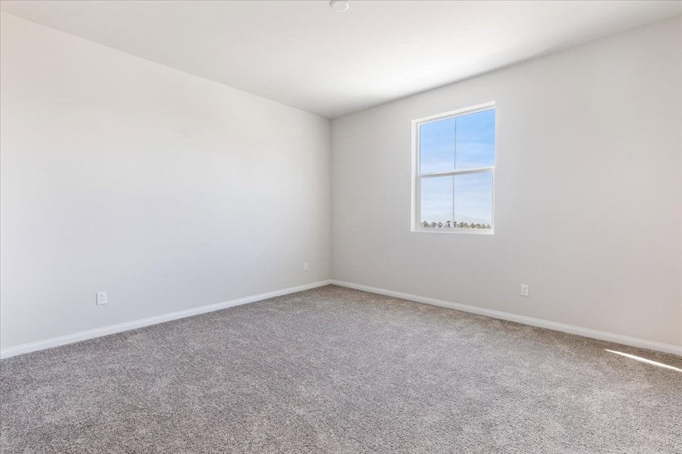 A room with a window and a carpet.
