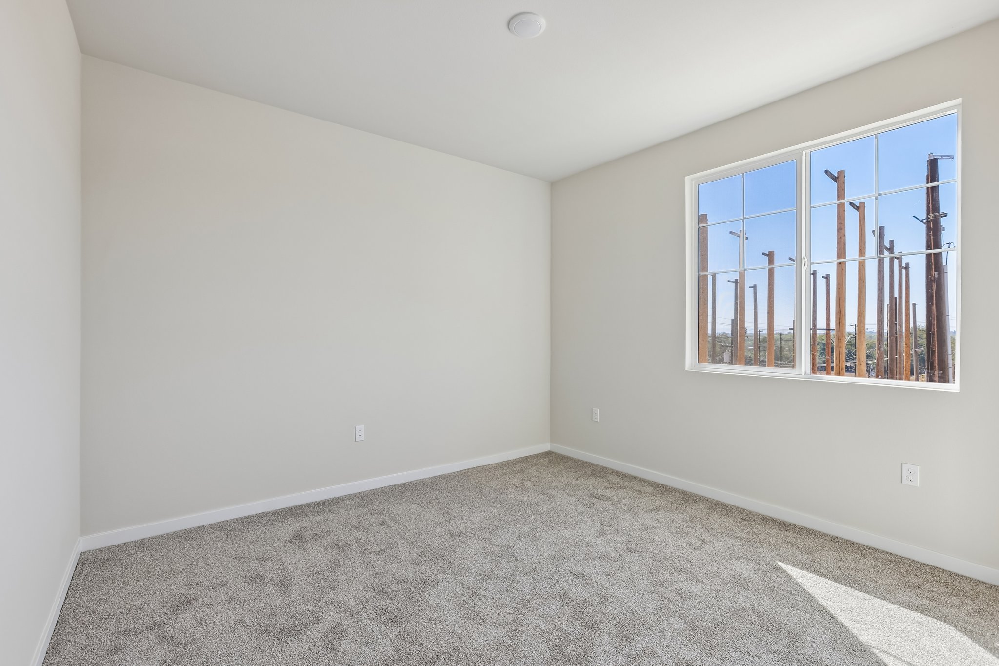 A room with a window and a rug.
