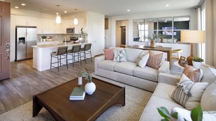 A living room with a large kitchen.