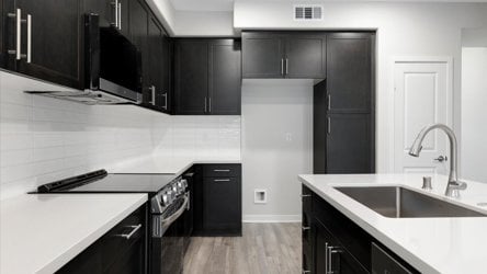 A kitchen with black cabinets.