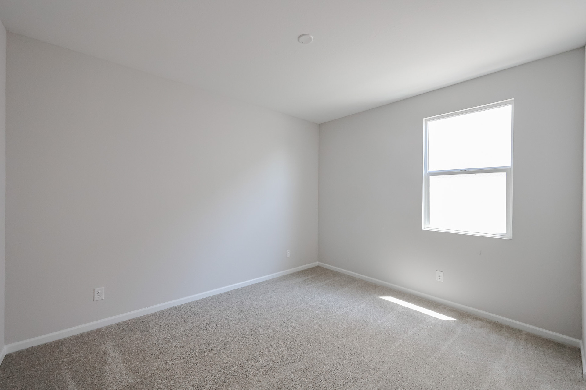 A room with a window and a carpet.
