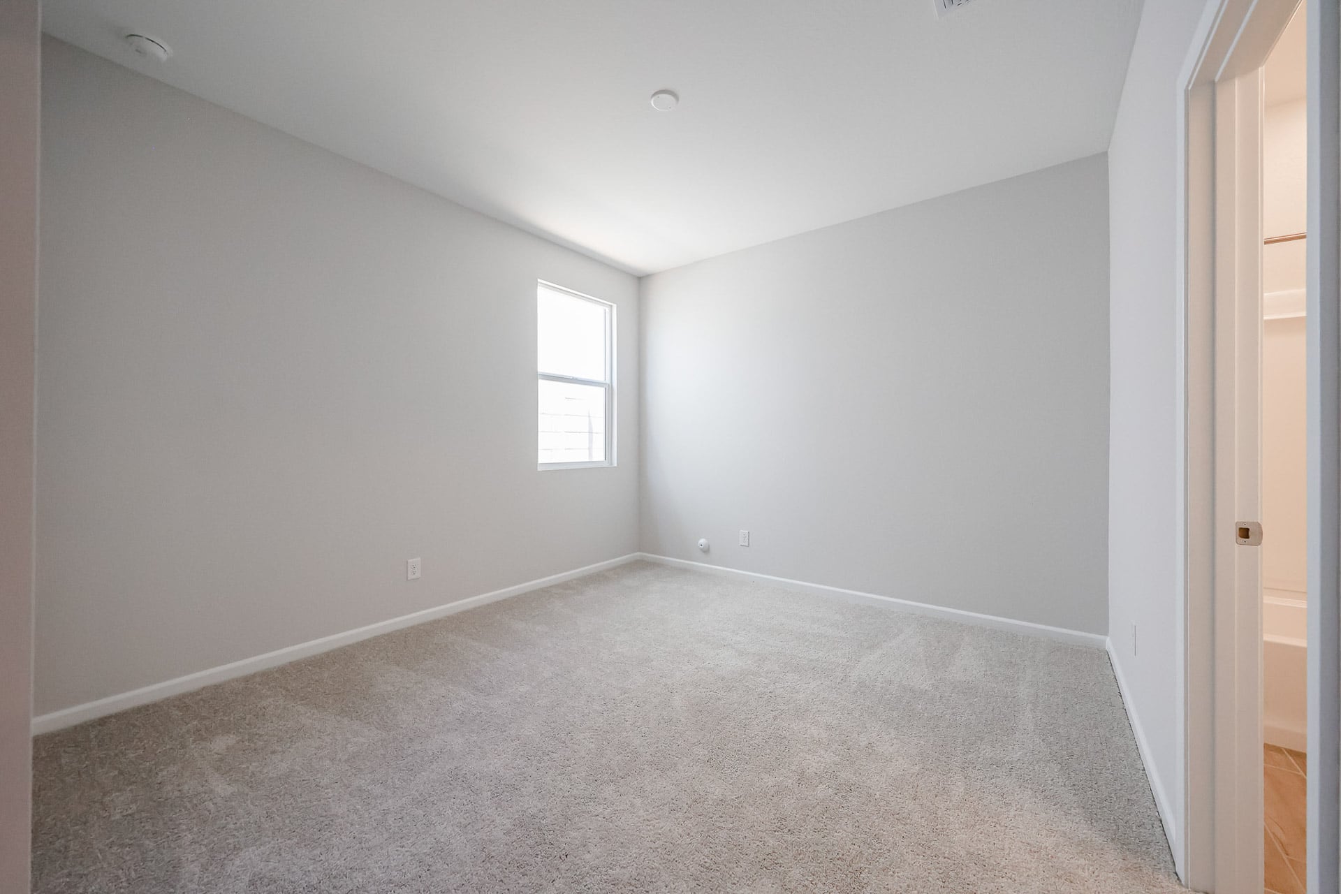 A room with a carpet and windows.