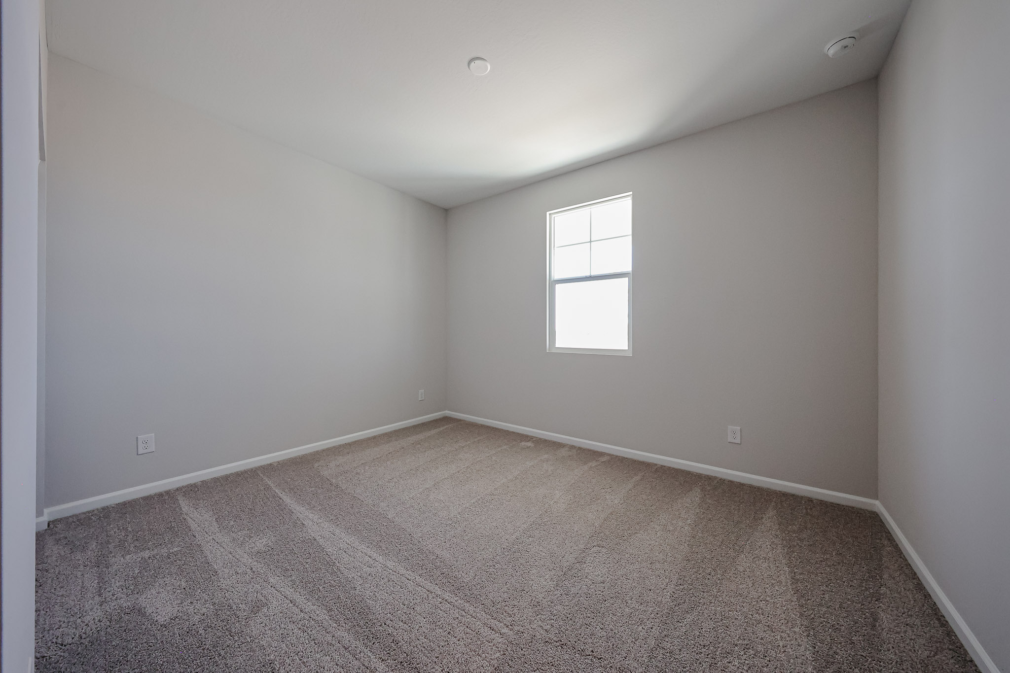 A room with a carpet and windows.