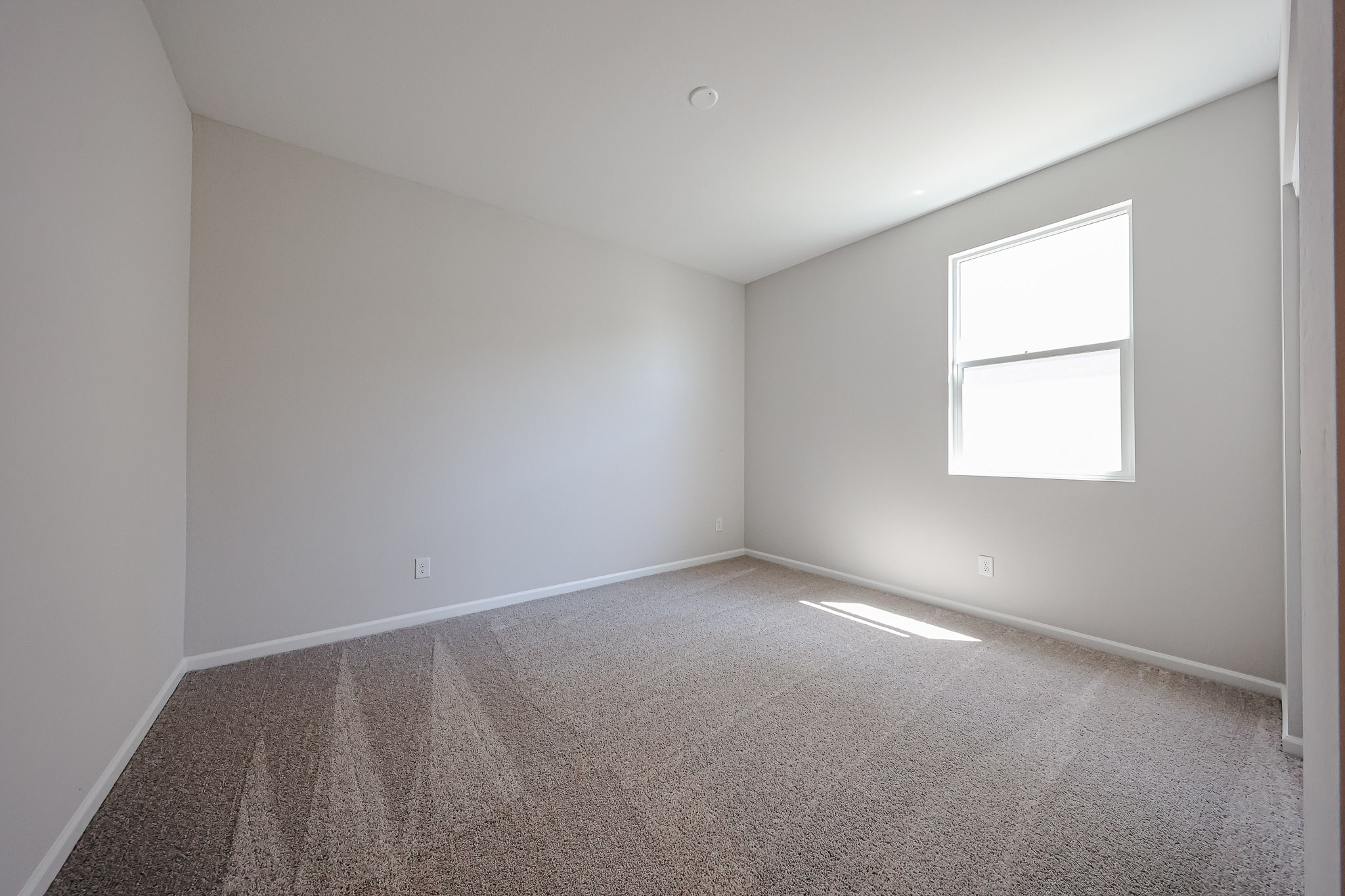A room with a carpet and a window.