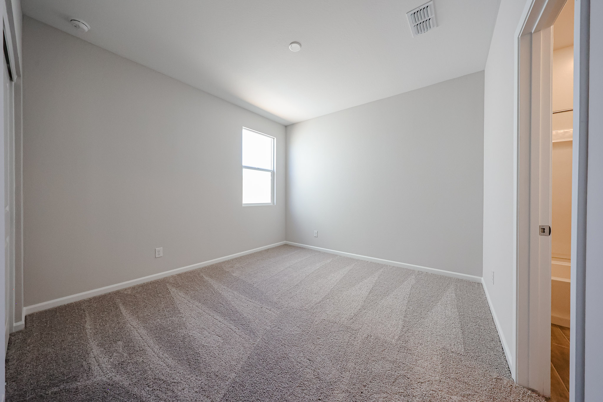 A room with a carpet and windows.