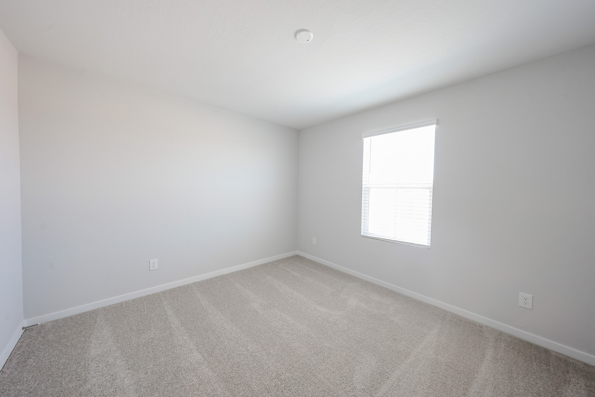 A room with a window and a carpet.