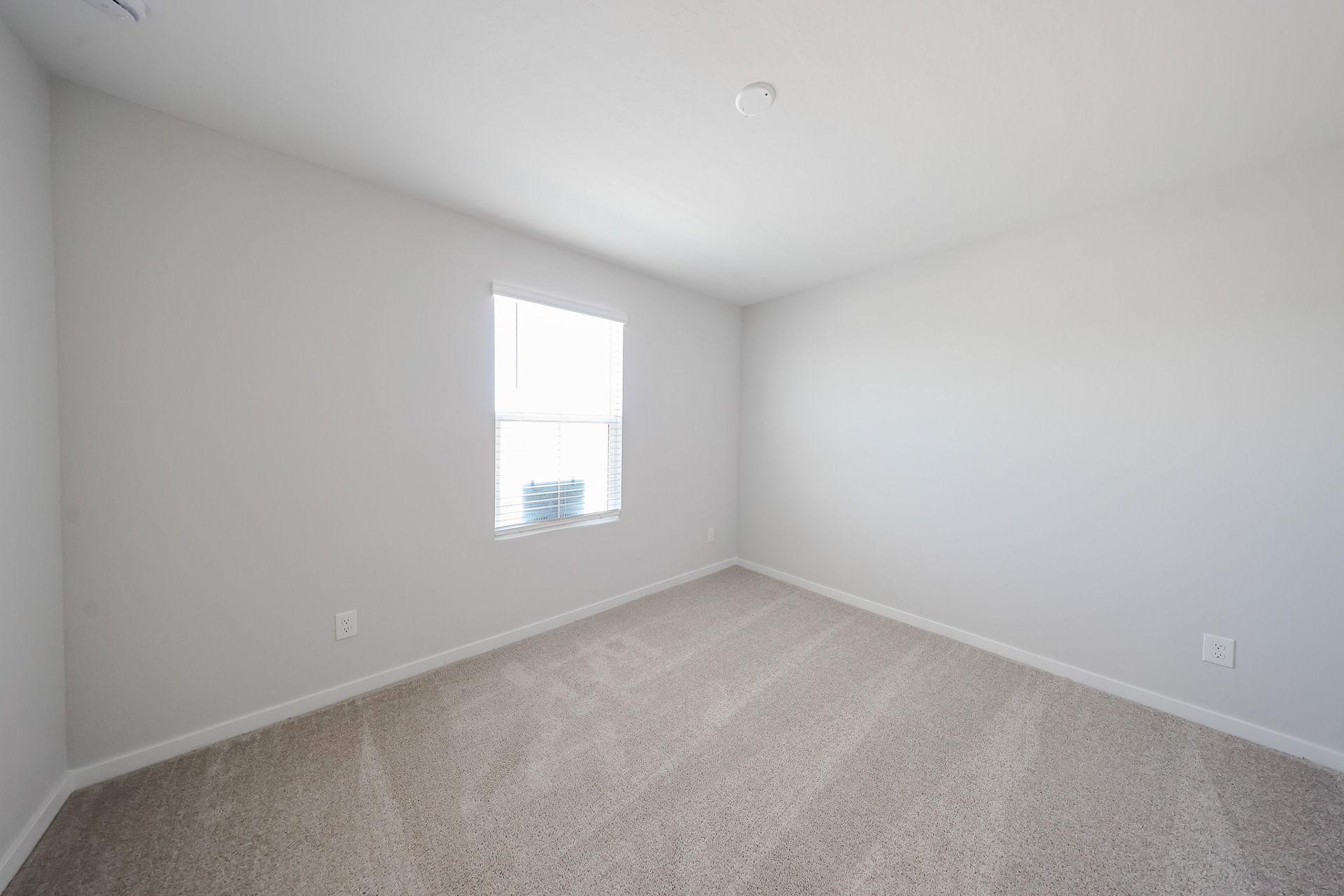 A room with a carpet and windows.