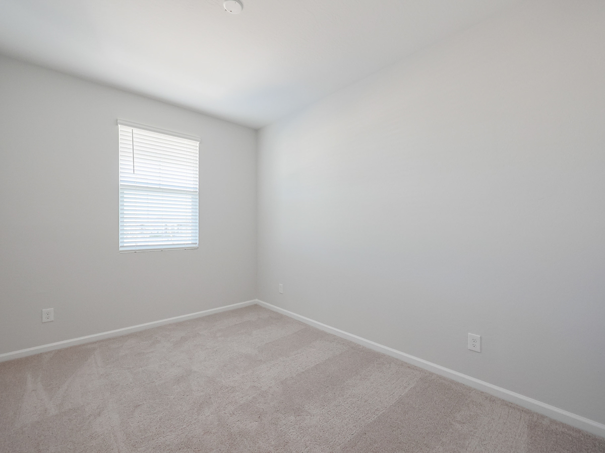 A room with a carpet and a window.