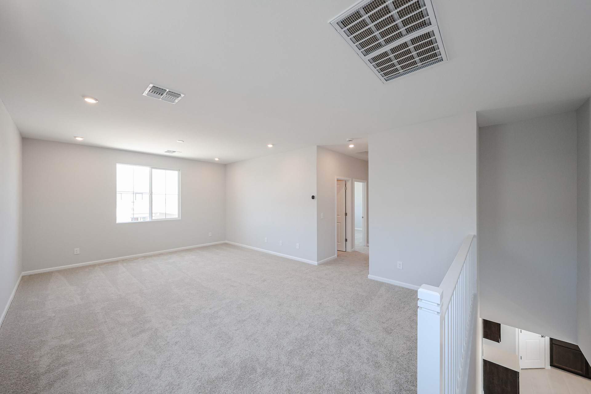 A room with a carpet and windows.