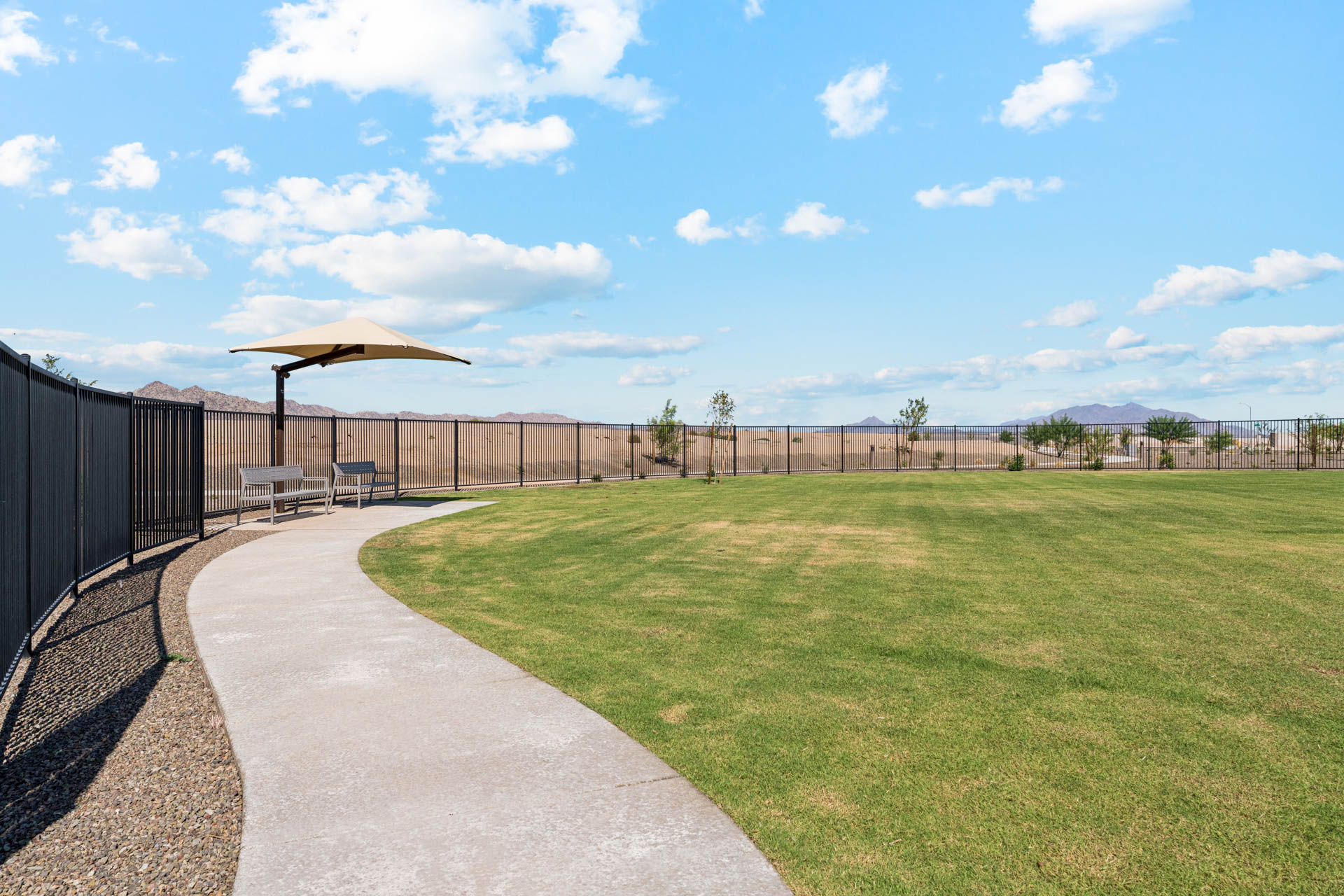 A path with grass and a fence.