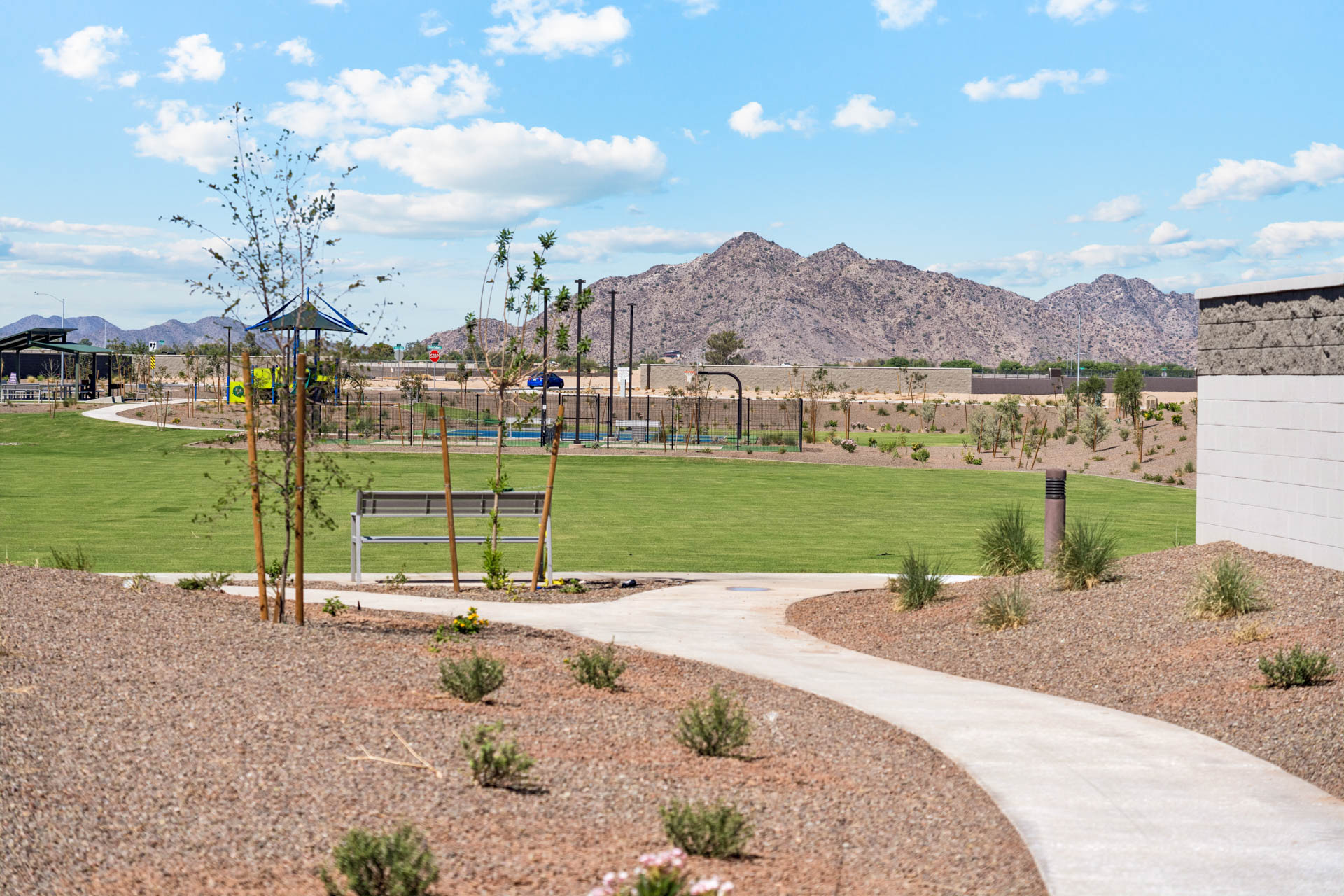 A garden with a fence and a hill in the background.
