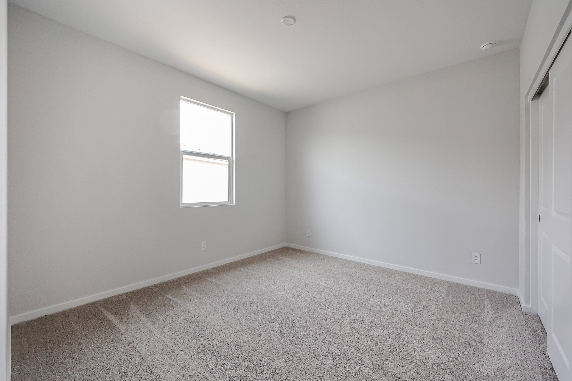 A room with a carpet and a window.