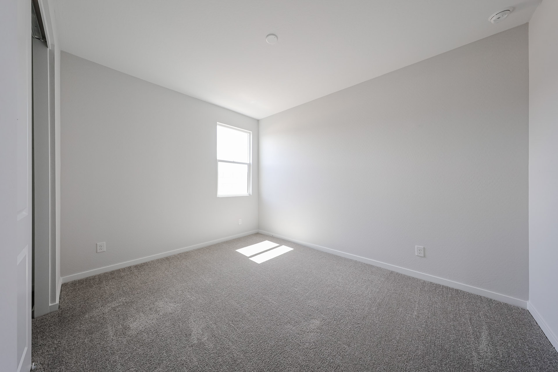 A room with a carpet and windows.