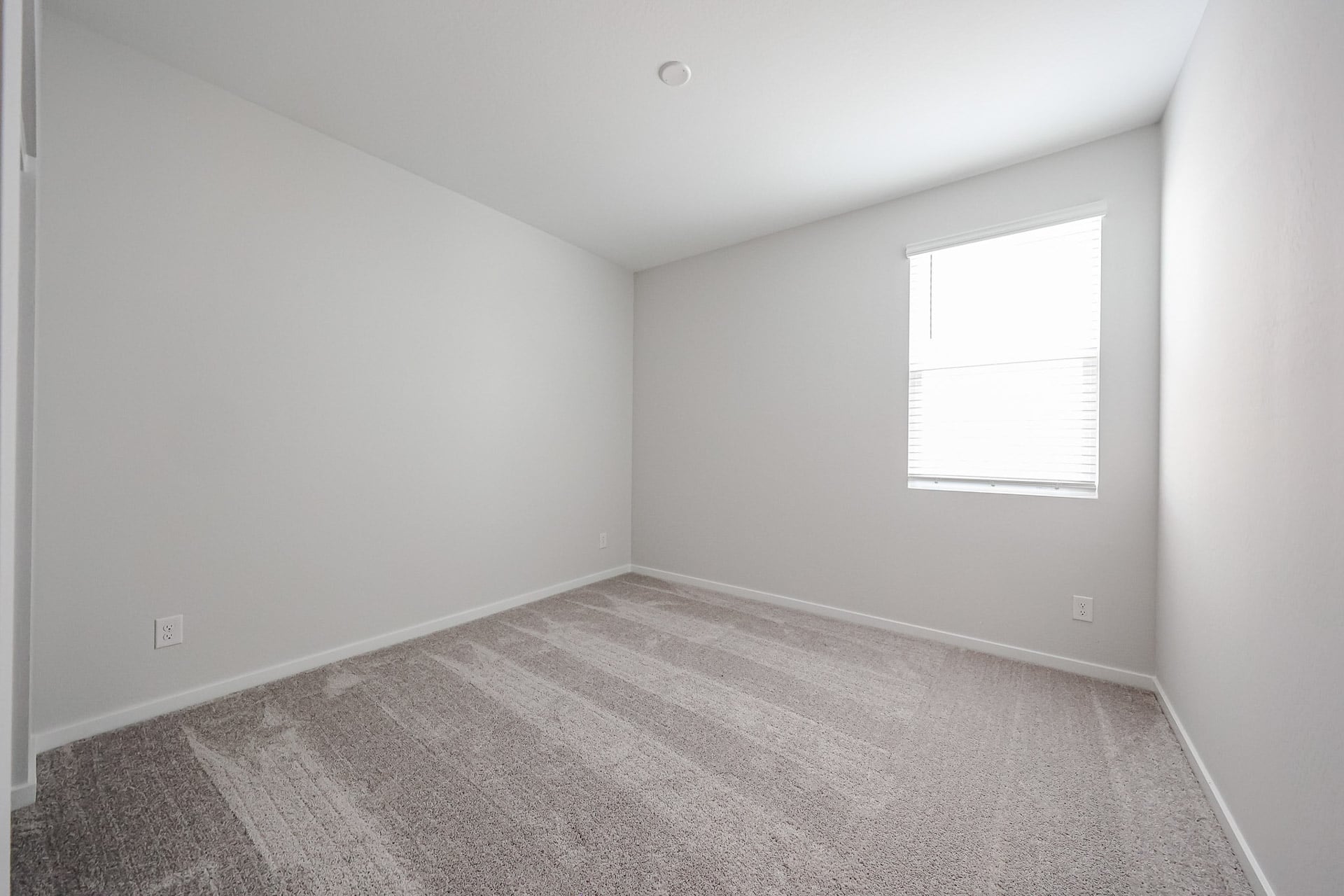 A room with a carpet and windows.