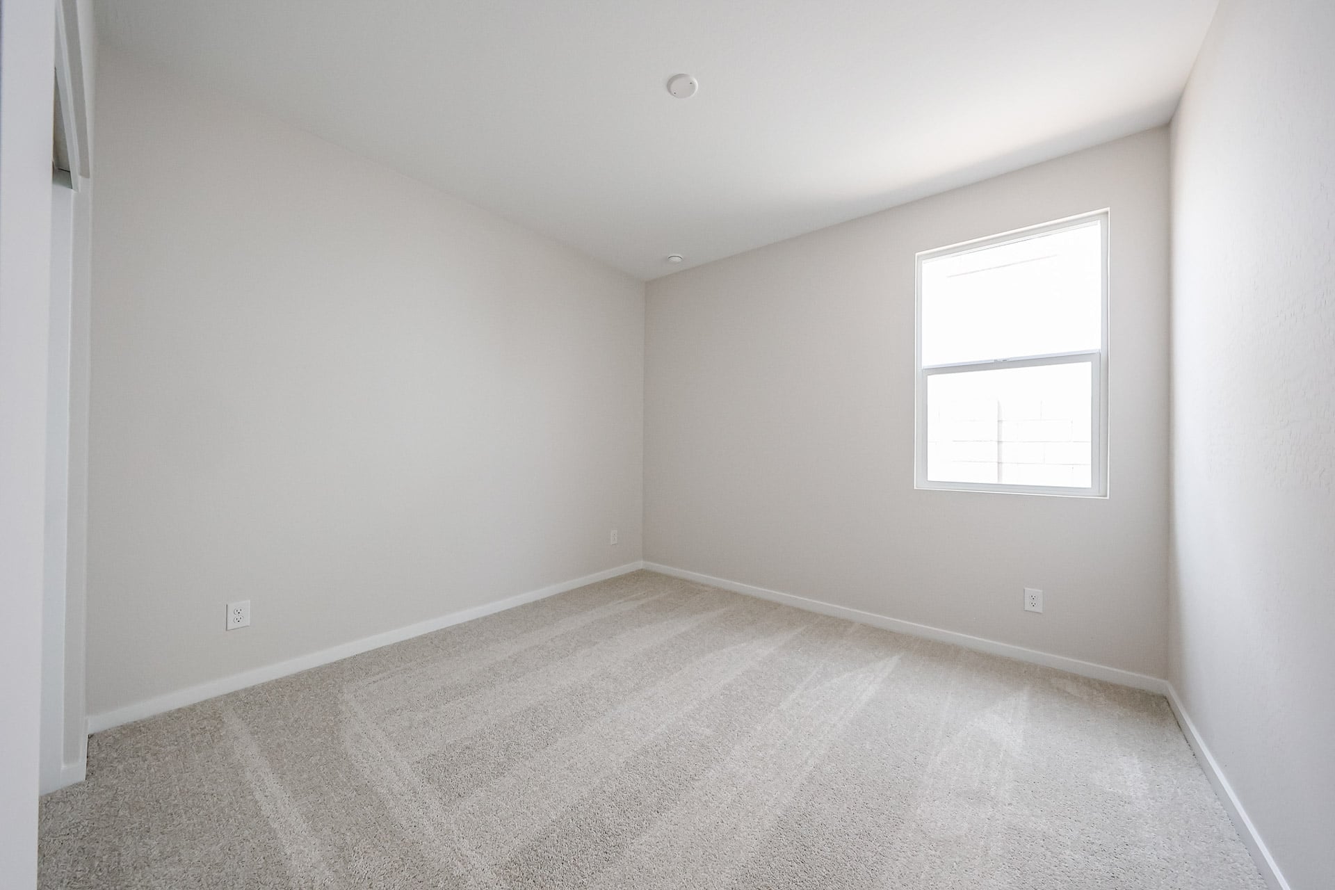 A room with a carpet and windows.