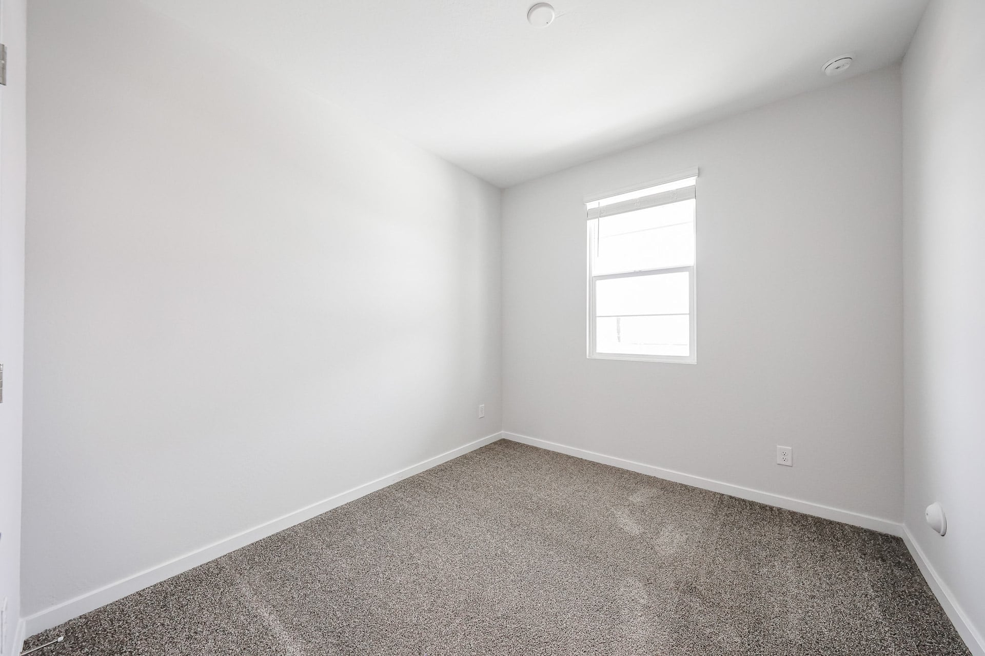 A room with a carpet and windows.