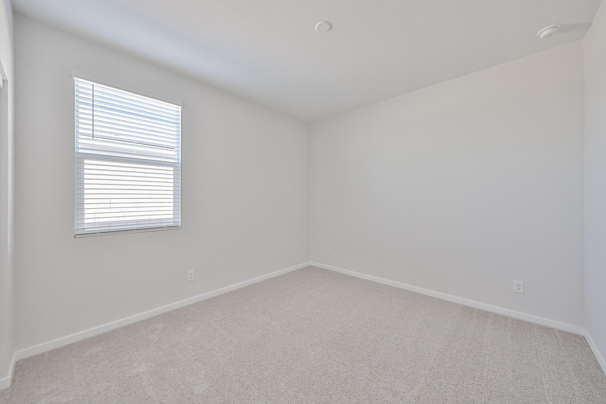 A room with a window and a carpet.