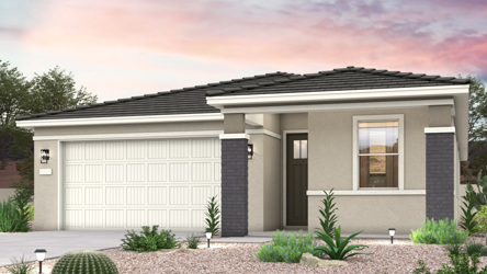 A house with a garage and a cactus in the front.