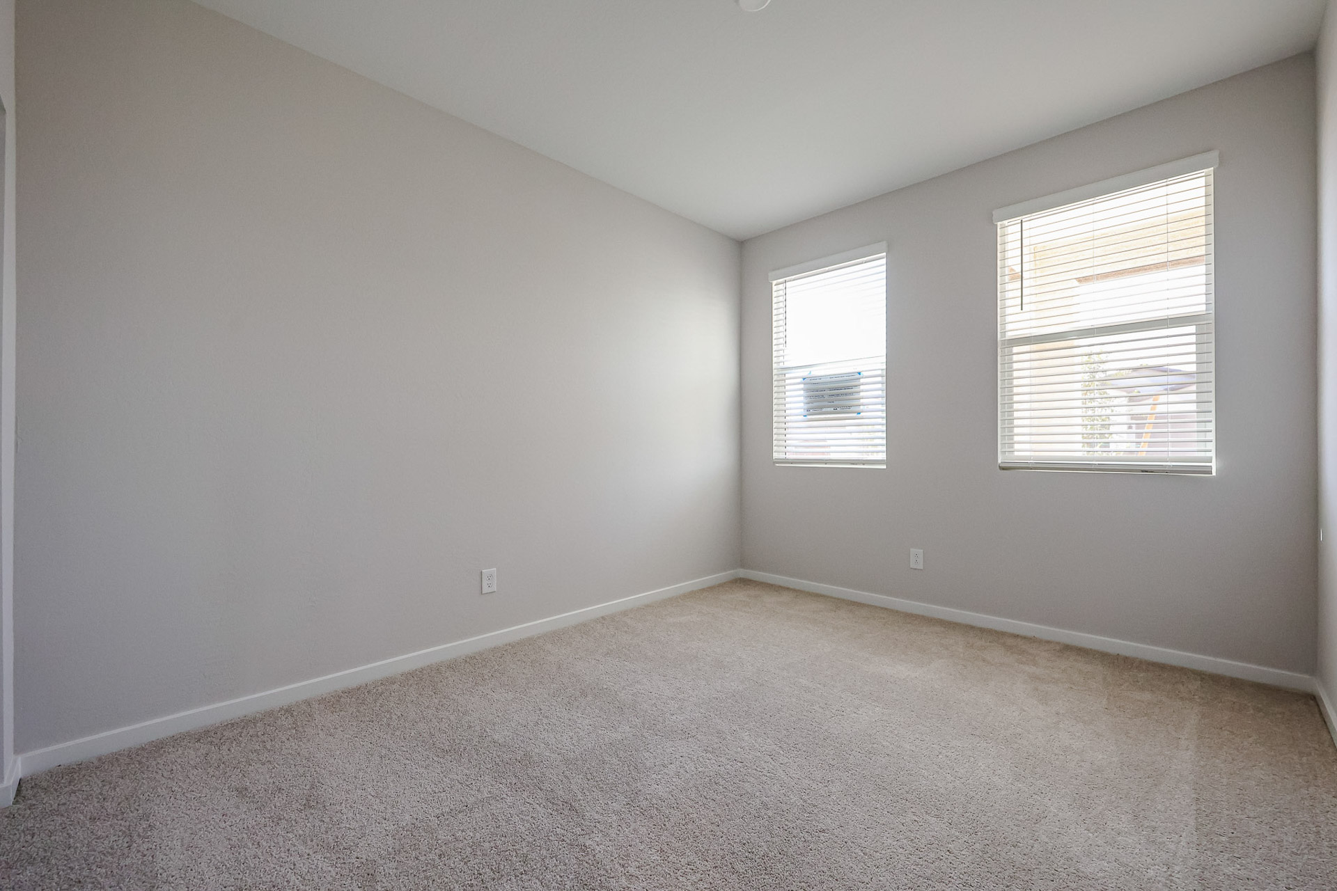 A room with a carpet and windows.
