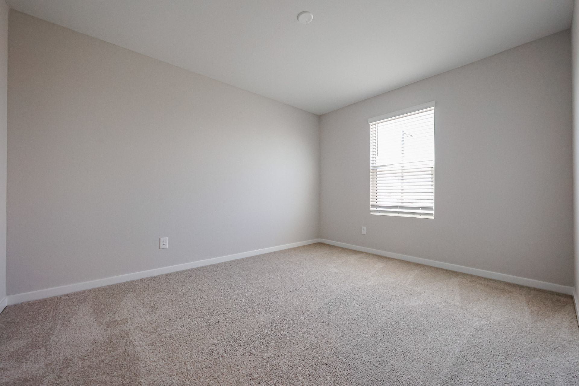 A room with a carpet and a window.