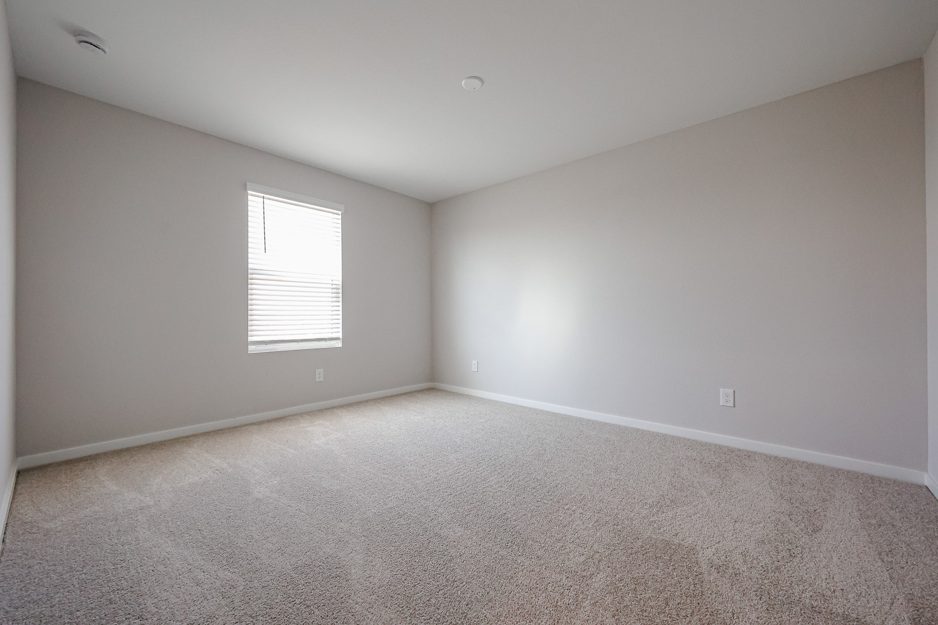 A room with a carpet and a window.