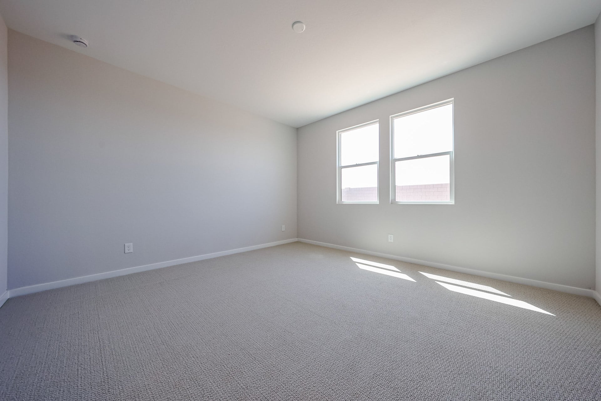 A room with a carpet and windows.