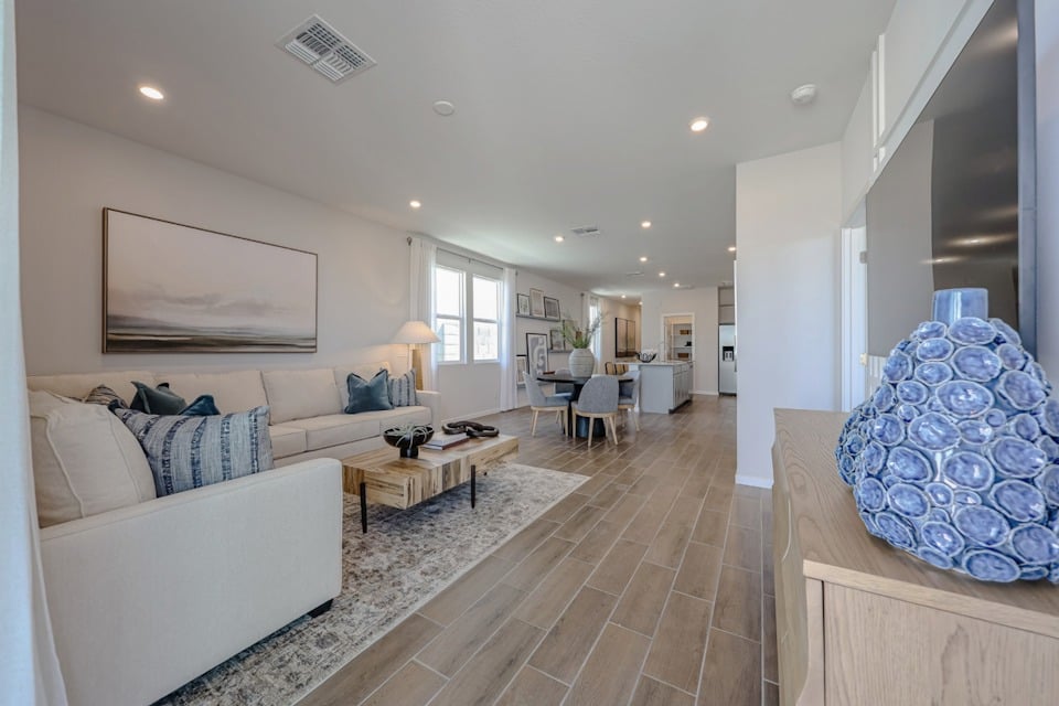 A living room with a bed and couches.