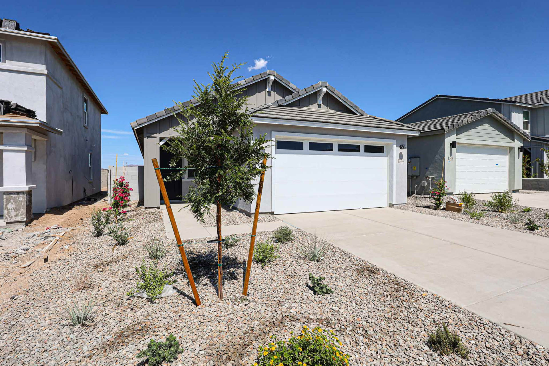 A tree in front of a house.