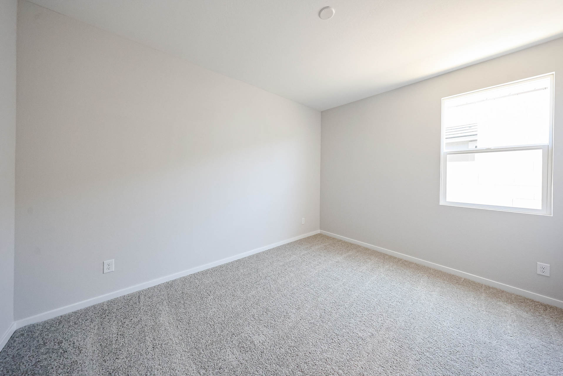A room with a carpet and windows.