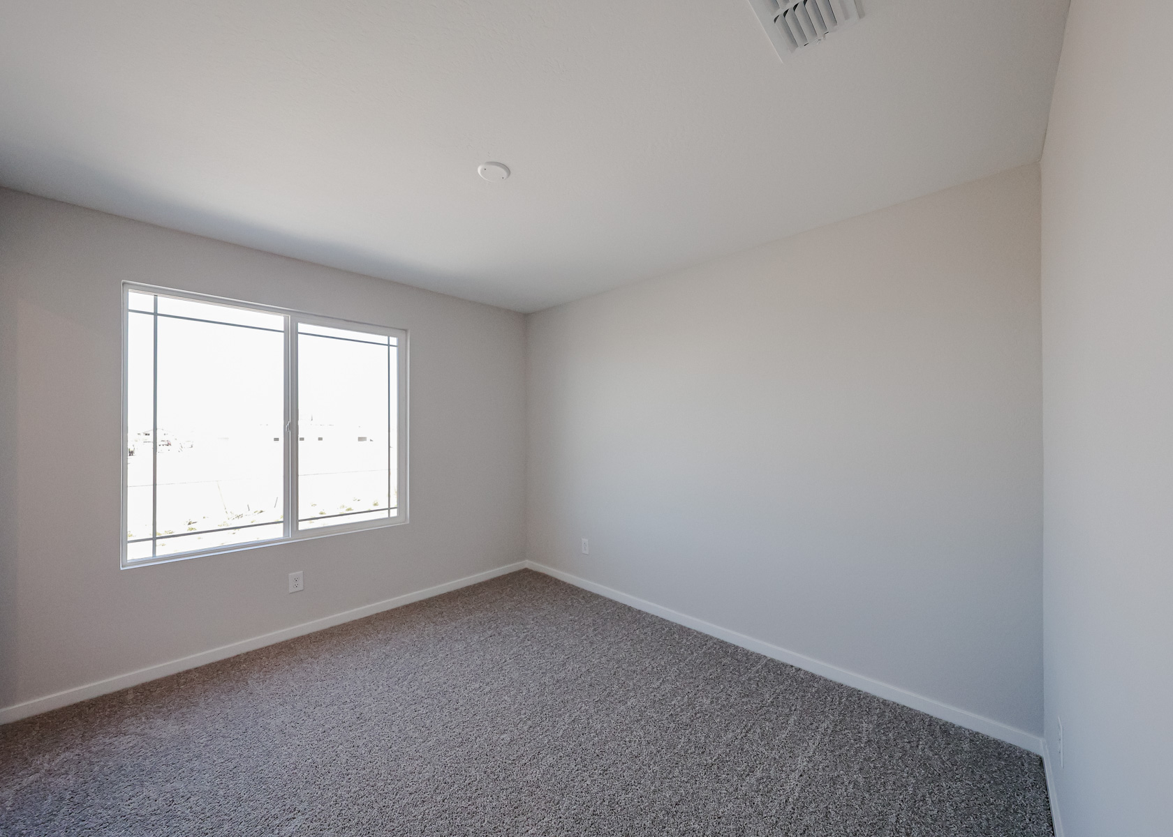 A room with a carpet and windows.