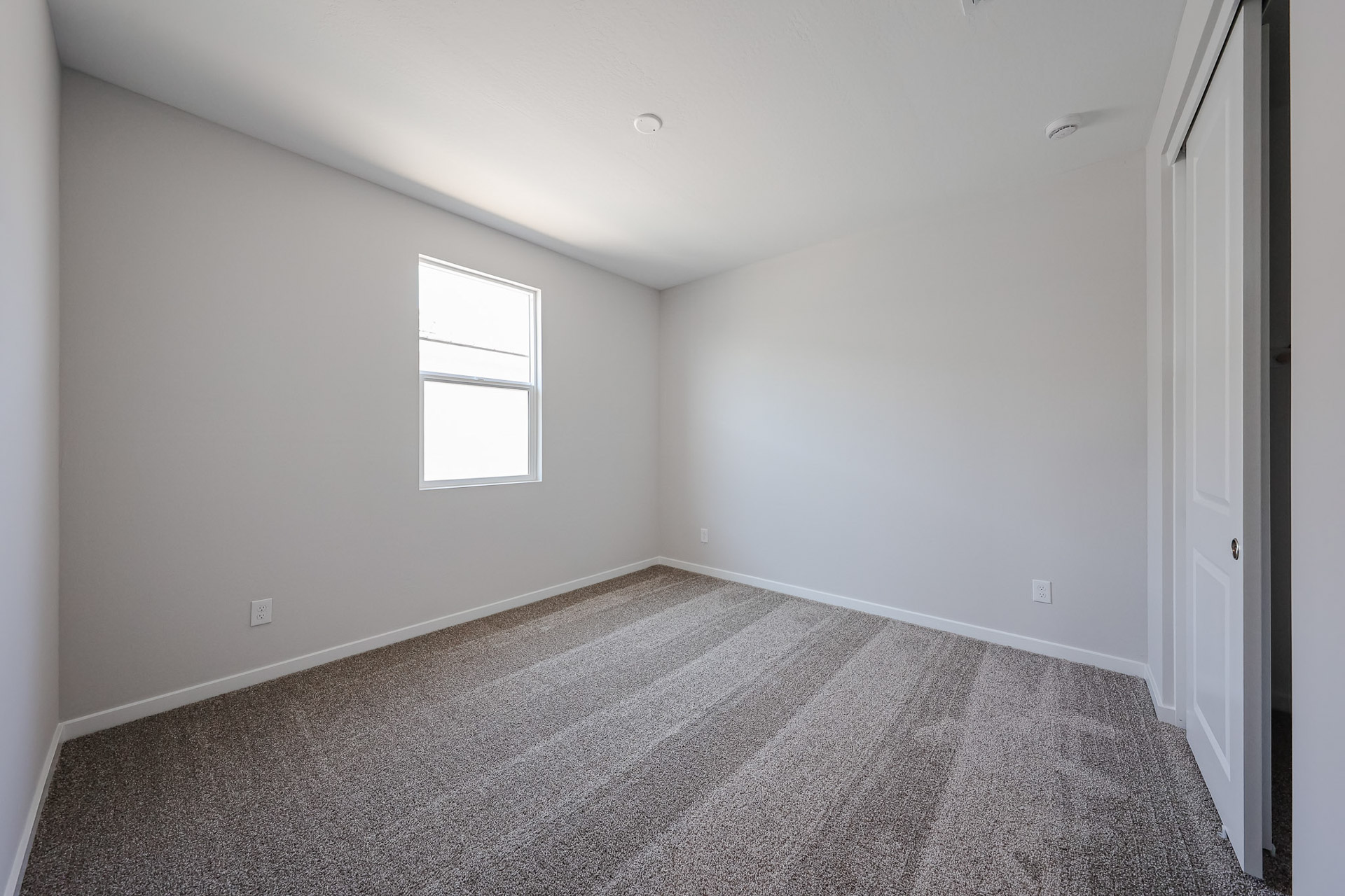 A room with a carpet and windows.