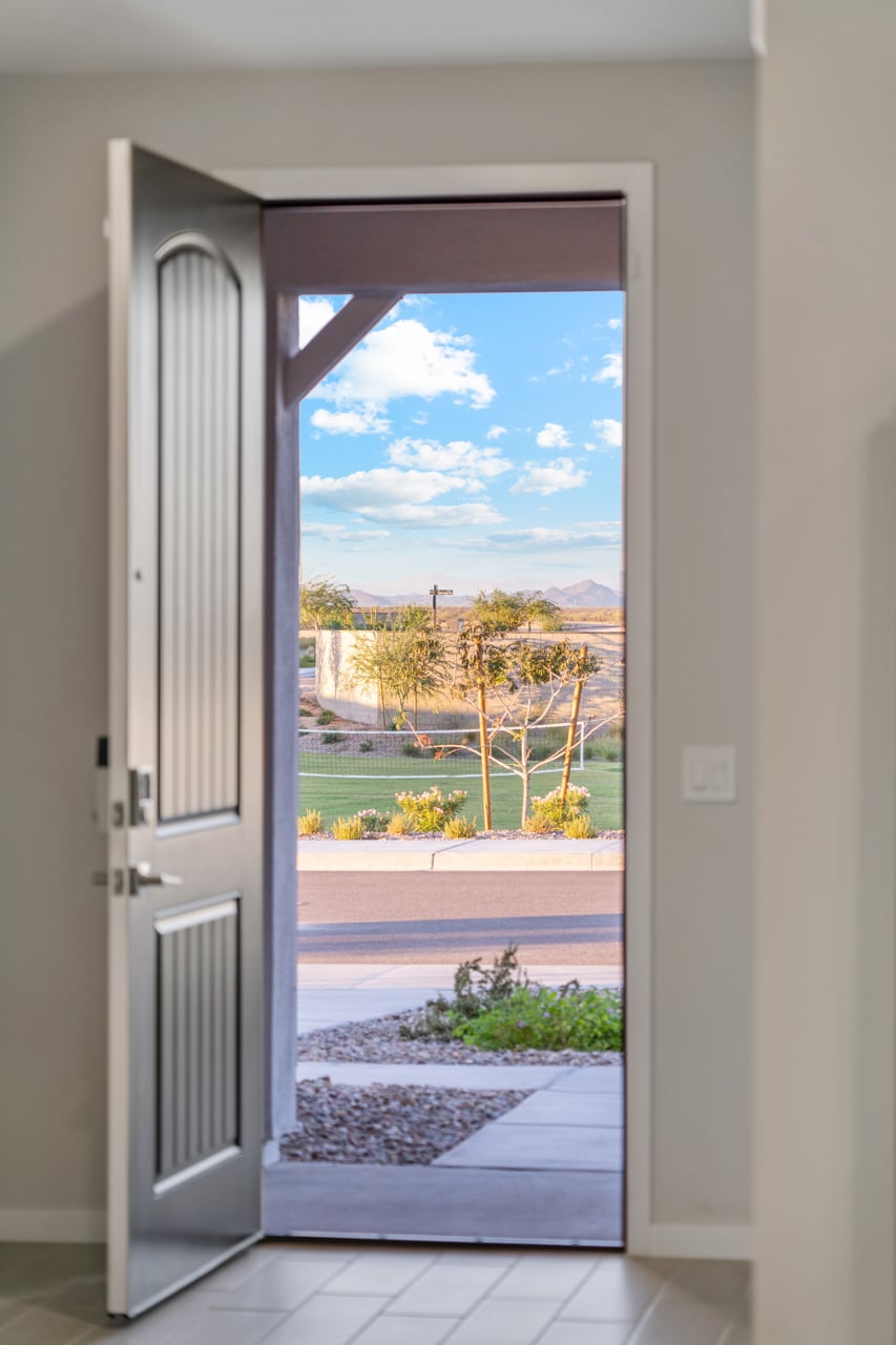 A door with a view of a street and trees.