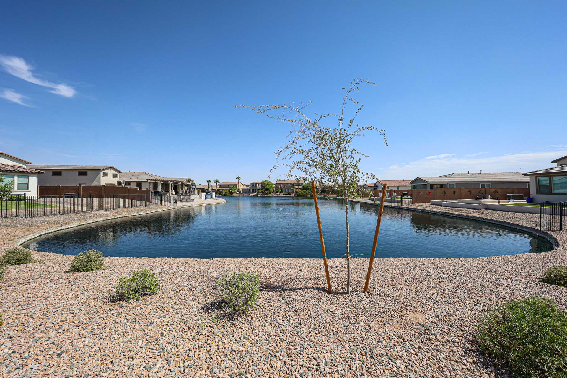 A tree in a pond.