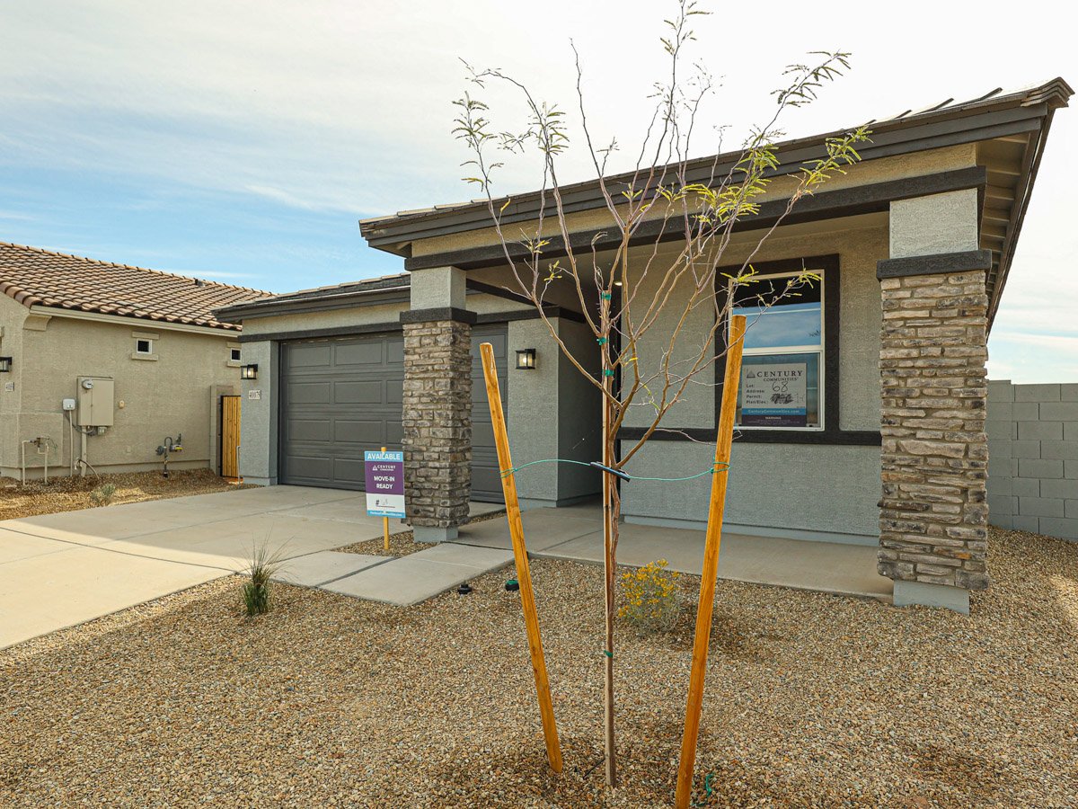 A tree in front of a building.