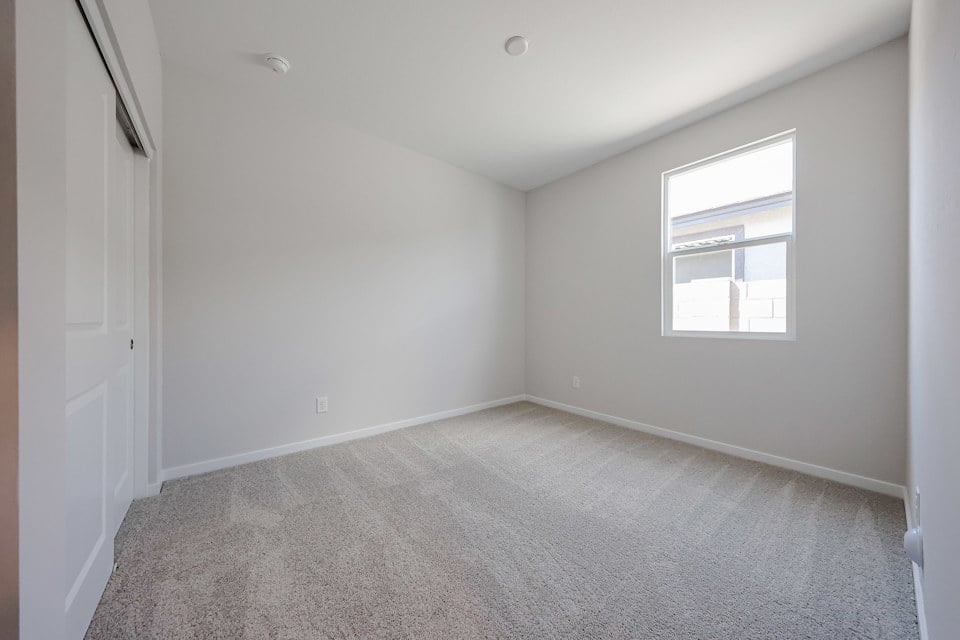 A room with a carpet and windows.