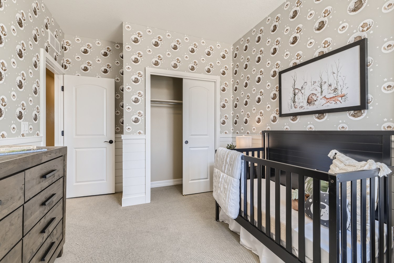 Anthology North Paired Homes in Parker Colorado