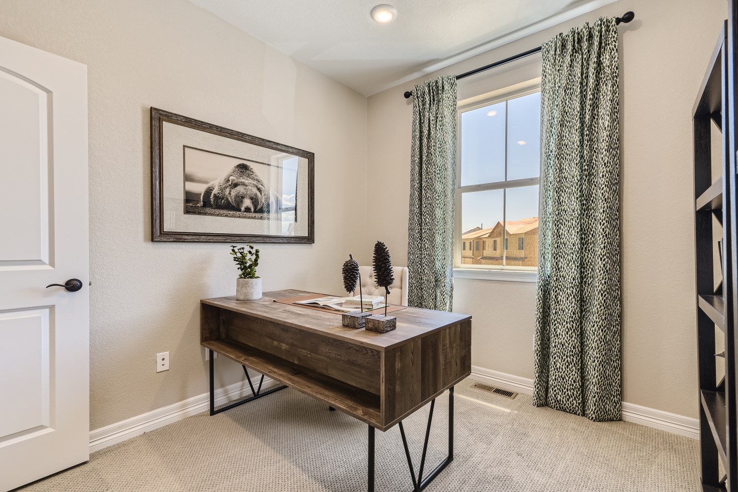 Anthology North Paired Homes in Parker Colorado