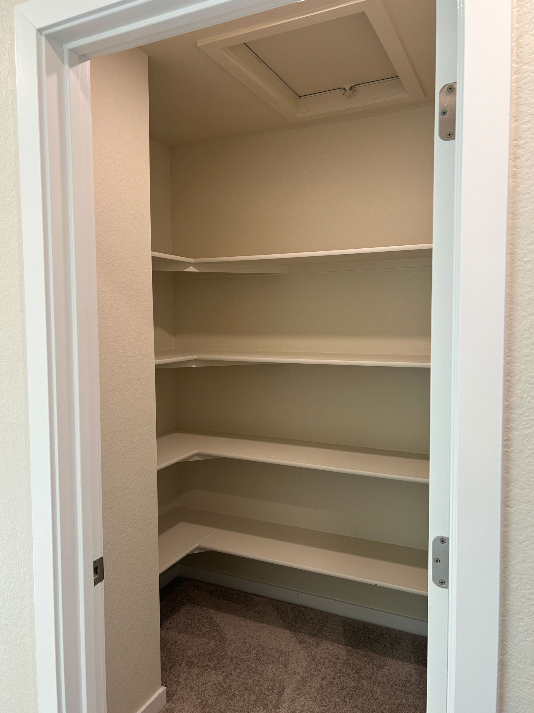 A white closet with a door.