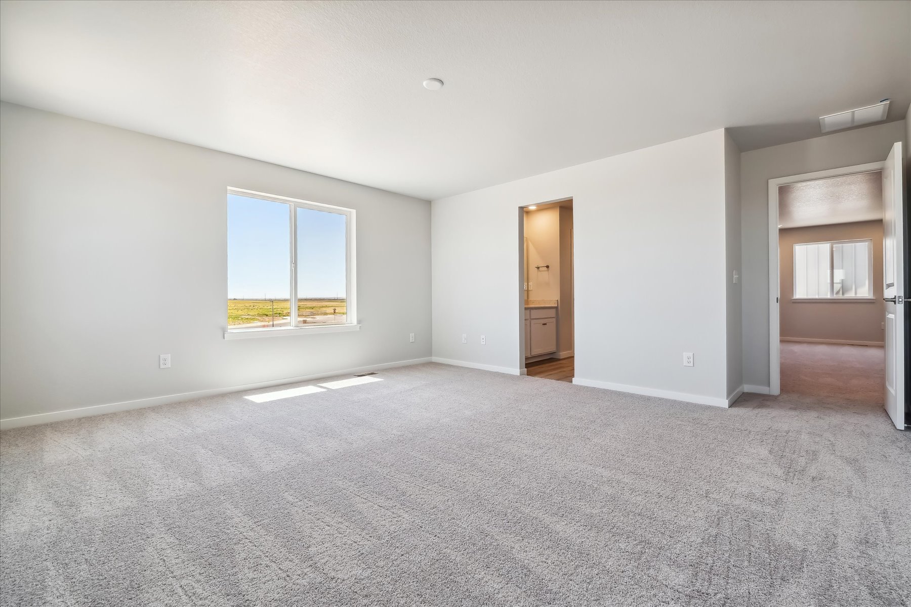 A room with a carpet and a door.