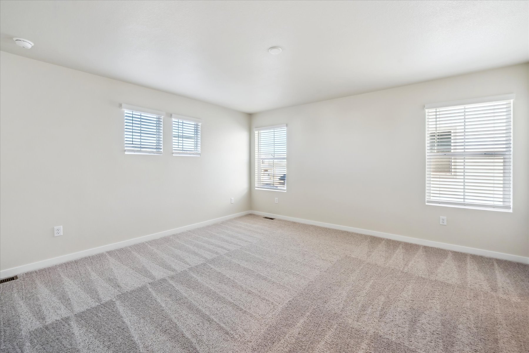 A room with a carpet and windows.