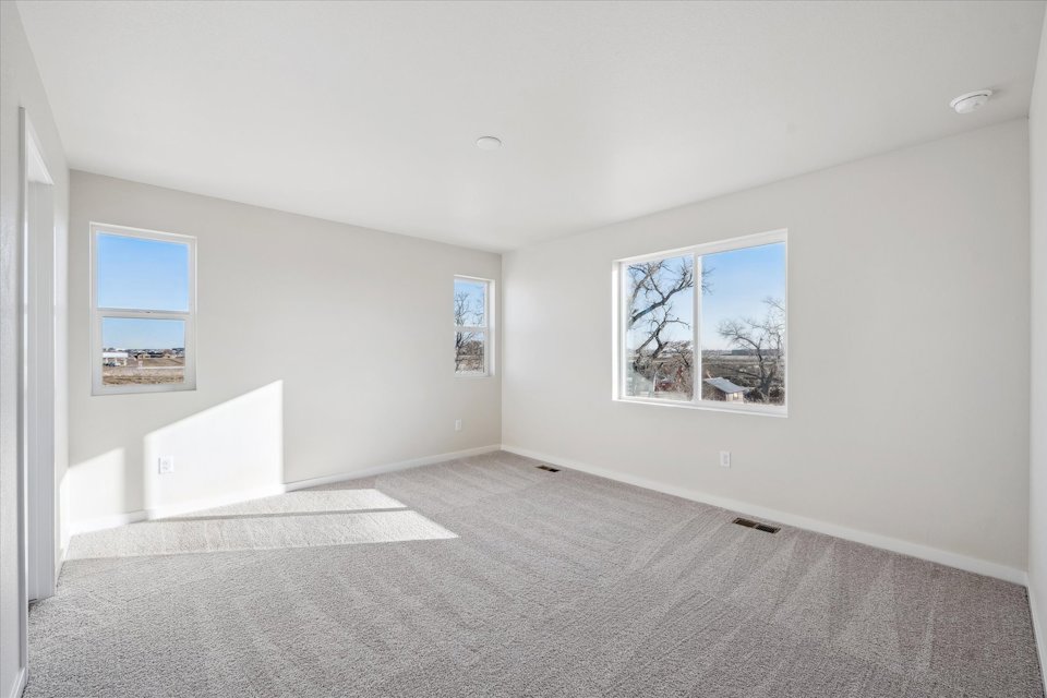 A room with a rug and a window.