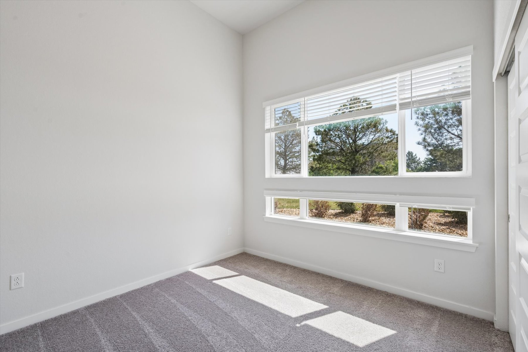 A room with a window and a rug.