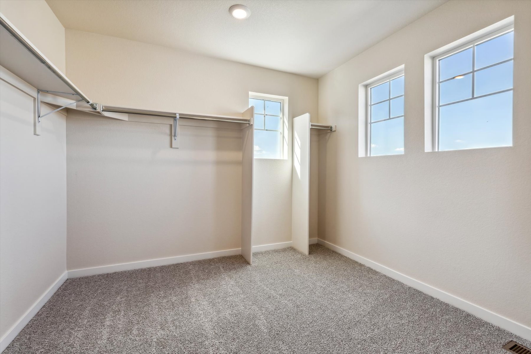 A room with a carpet and windows.