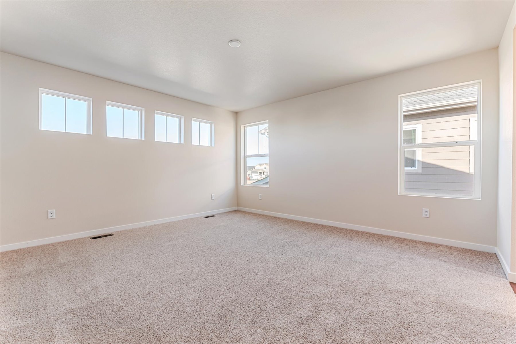 A room with a carpet and windows.