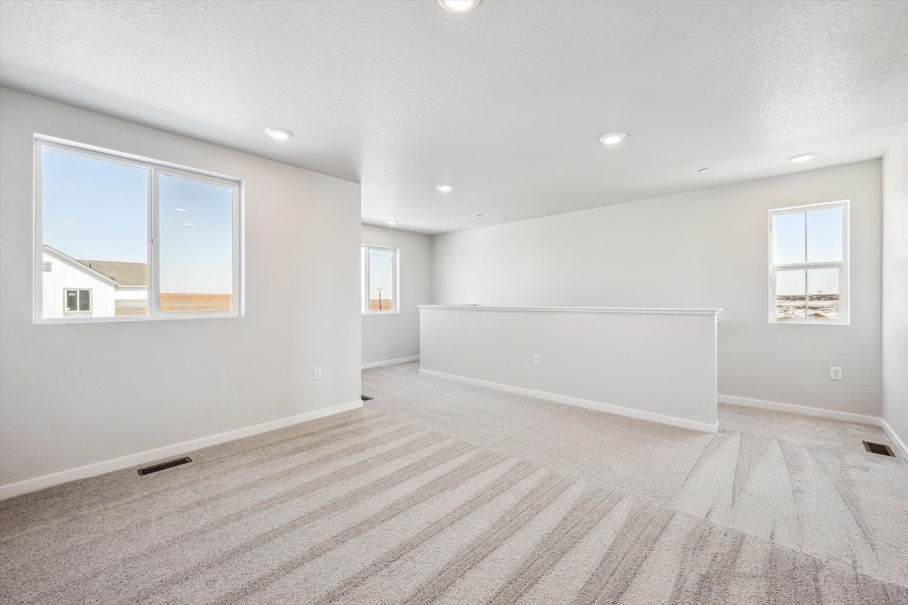 A room with a carpet and windows.