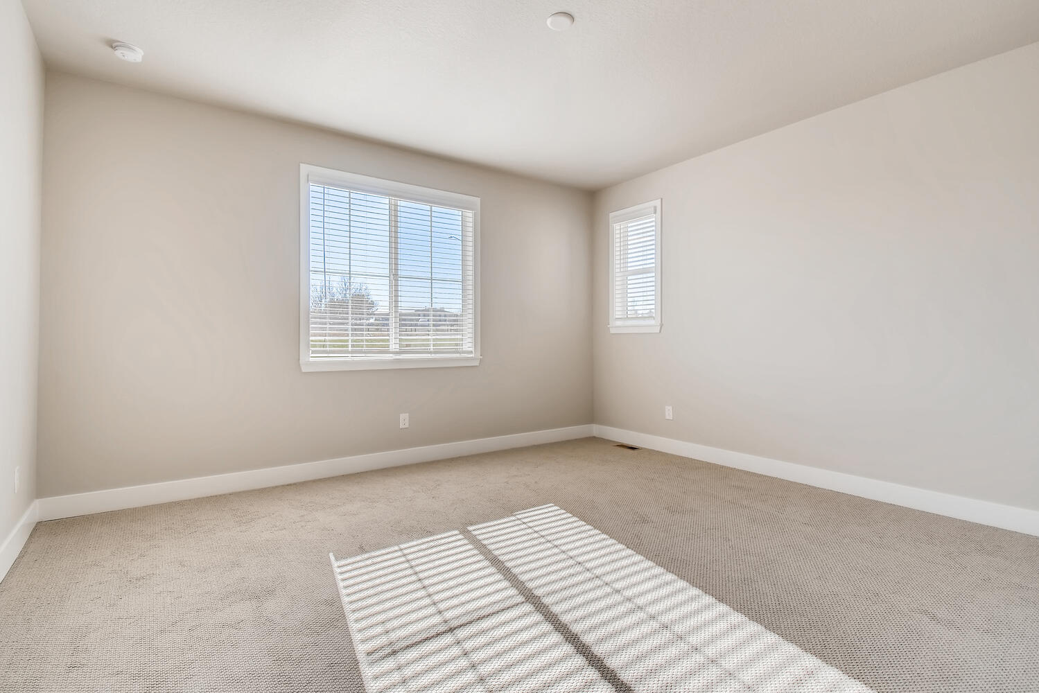 A room with a rug and a rug.