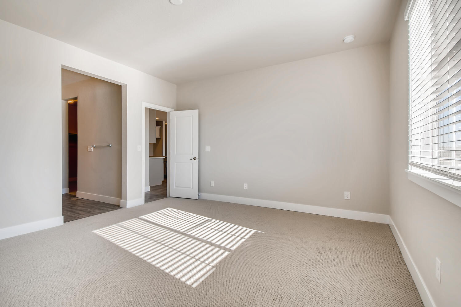 A room with a rug and a rug.