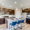 238 s scottsburg court aurora-large-010-008-kitchen-1500x998-72dpi