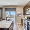 238 s scottsburg court aurora-large-012-013-kitchen-1500x998-72dpi