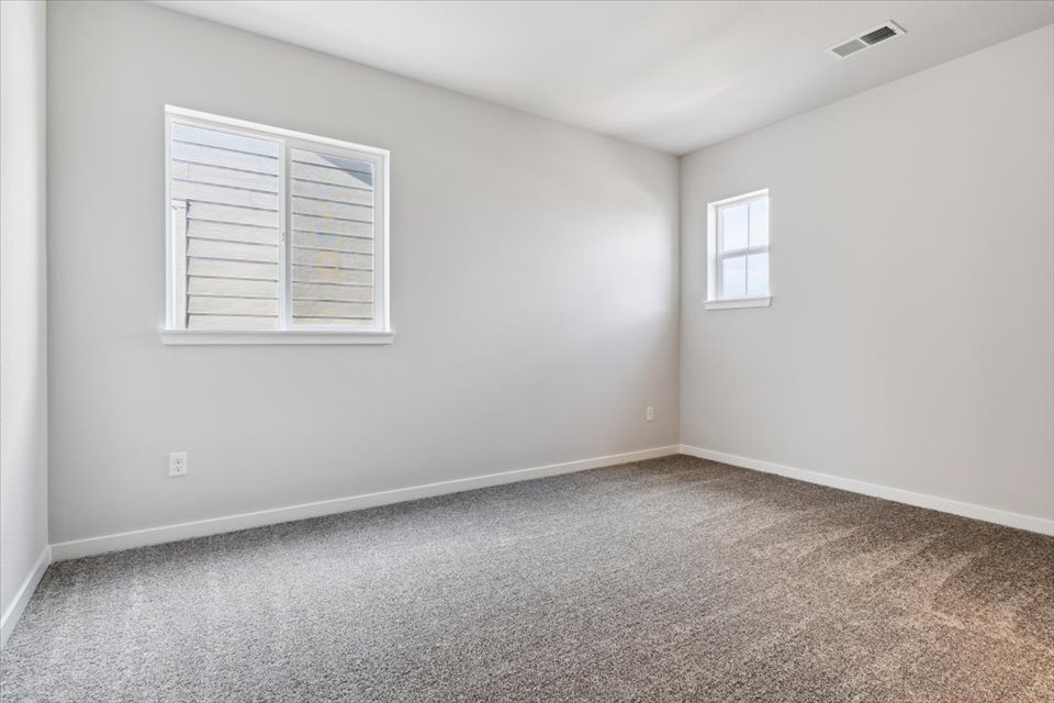 A room with a carpet and windows.